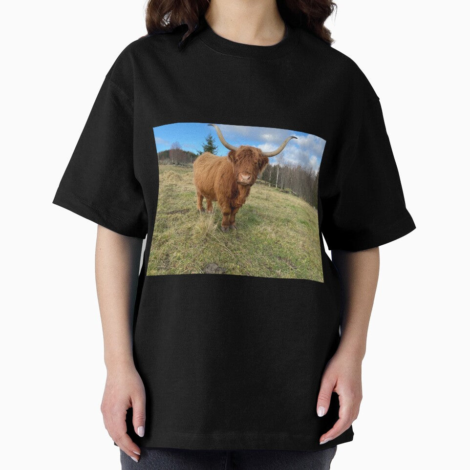Scottish Highland Cattle Cow 3032 by SaarelaHighland