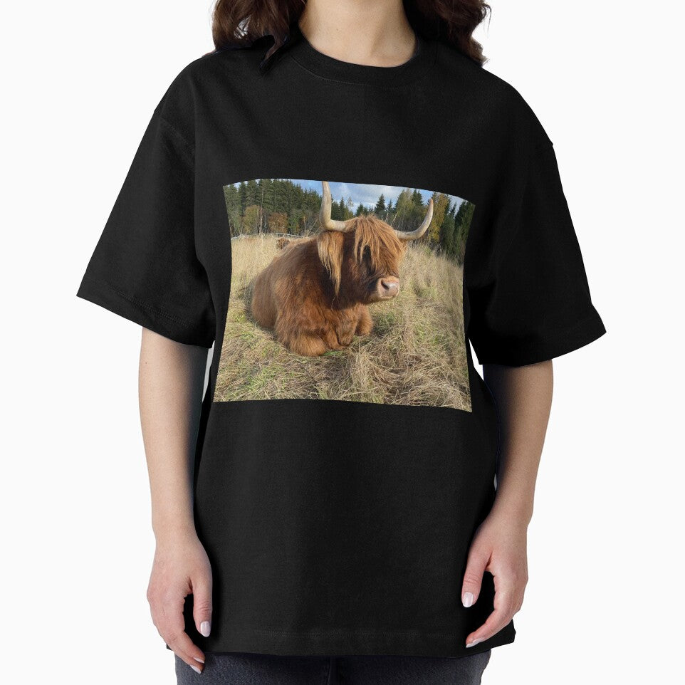 Scottish Highland Cattle Cow 3002 by SaarelaHighland