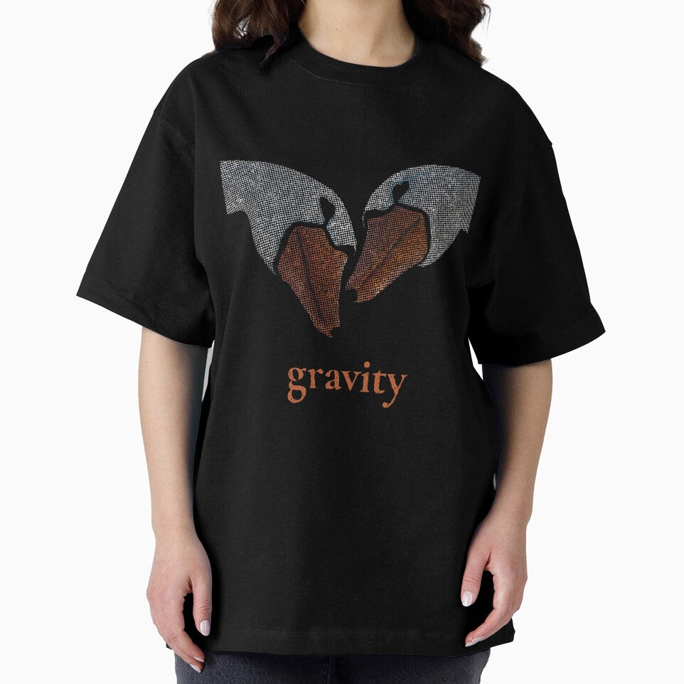 gravity swans by haArtBook