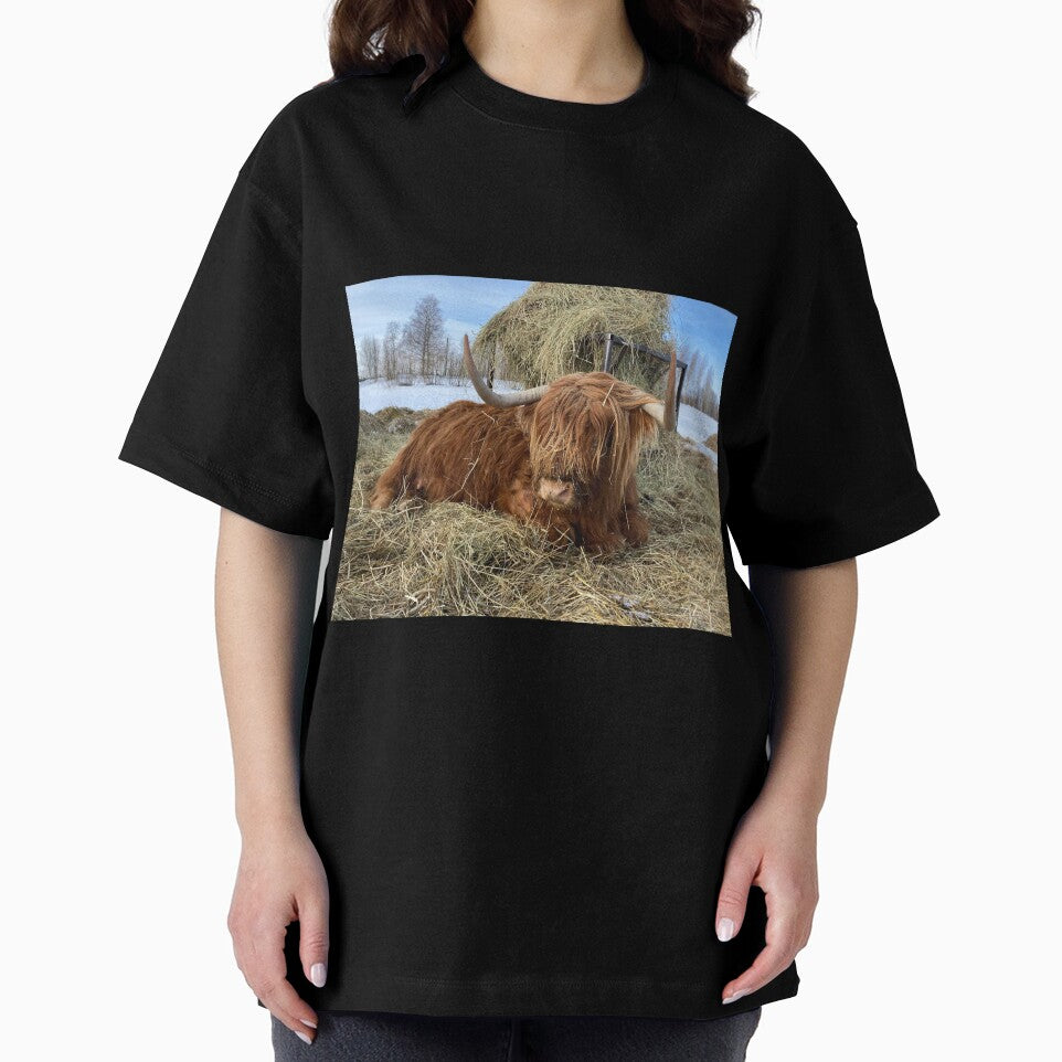 Scottish Highland Cattle Cow 3275 by SaarelaHighland