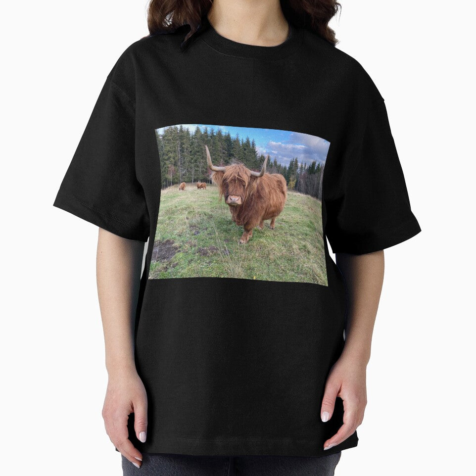 Scottish Highland Cattle Cow 3027 by SaarelaHighland