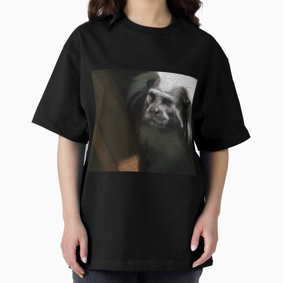 Cotton Top Tamarin by XCEEDTRANSITION