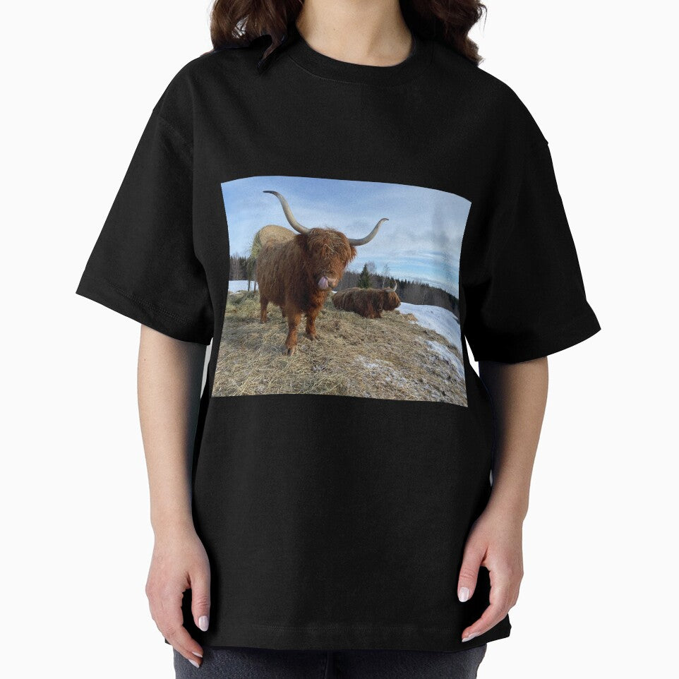 Scottish Highland Cattle Cow 3279 by SaarelaHighland