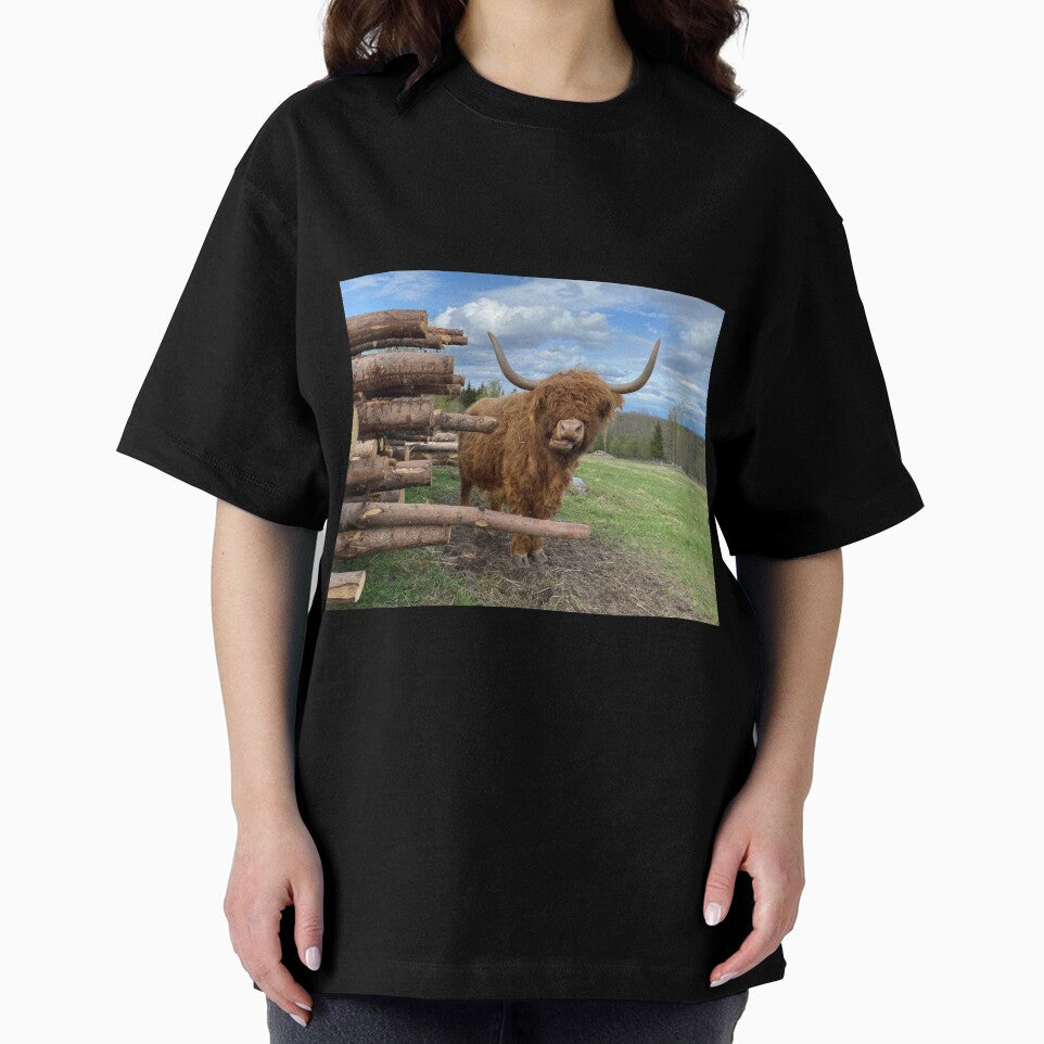 Scottish Highland Cattle Cow 3339 by SaarelaHighland