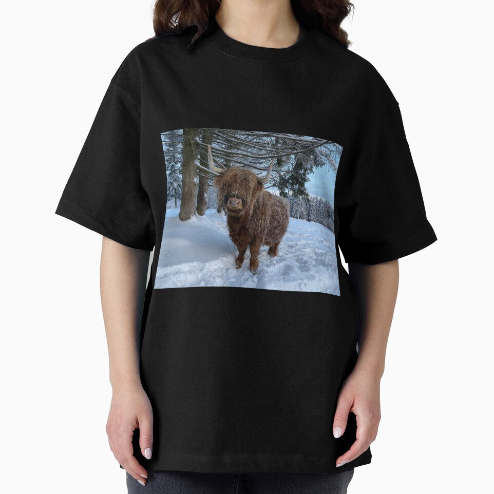 Scottish Highland Cattle Cow 3156 by SaarelaHighland