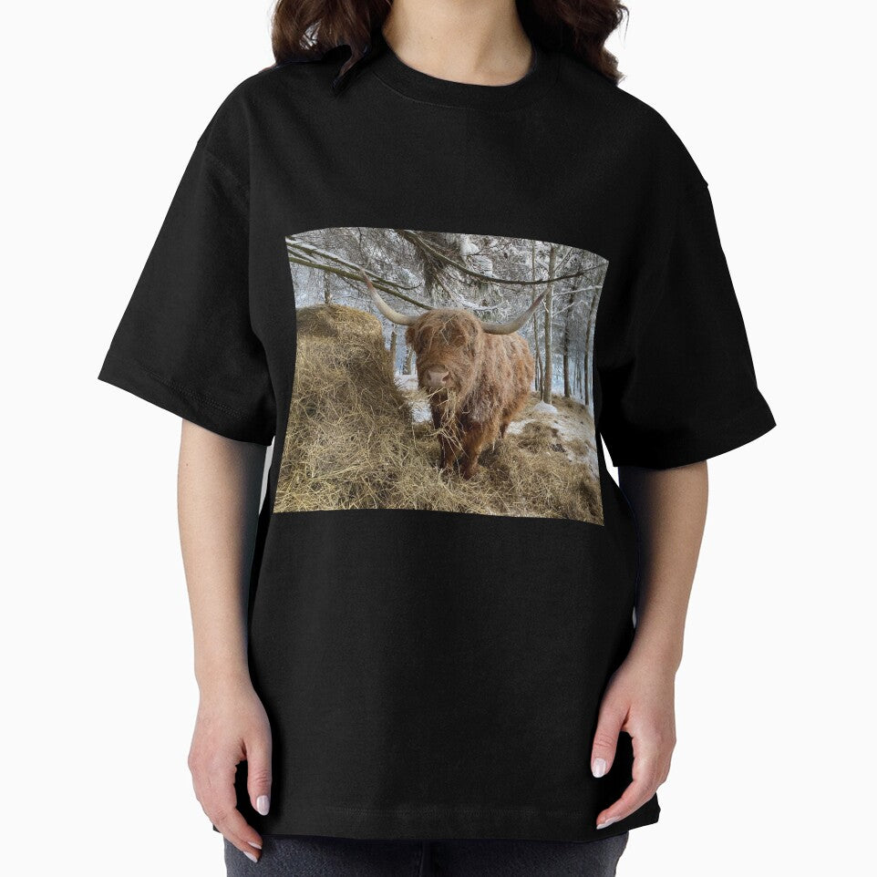 Scottish Highland Cattle Cow 3165 by SaarelaHighland