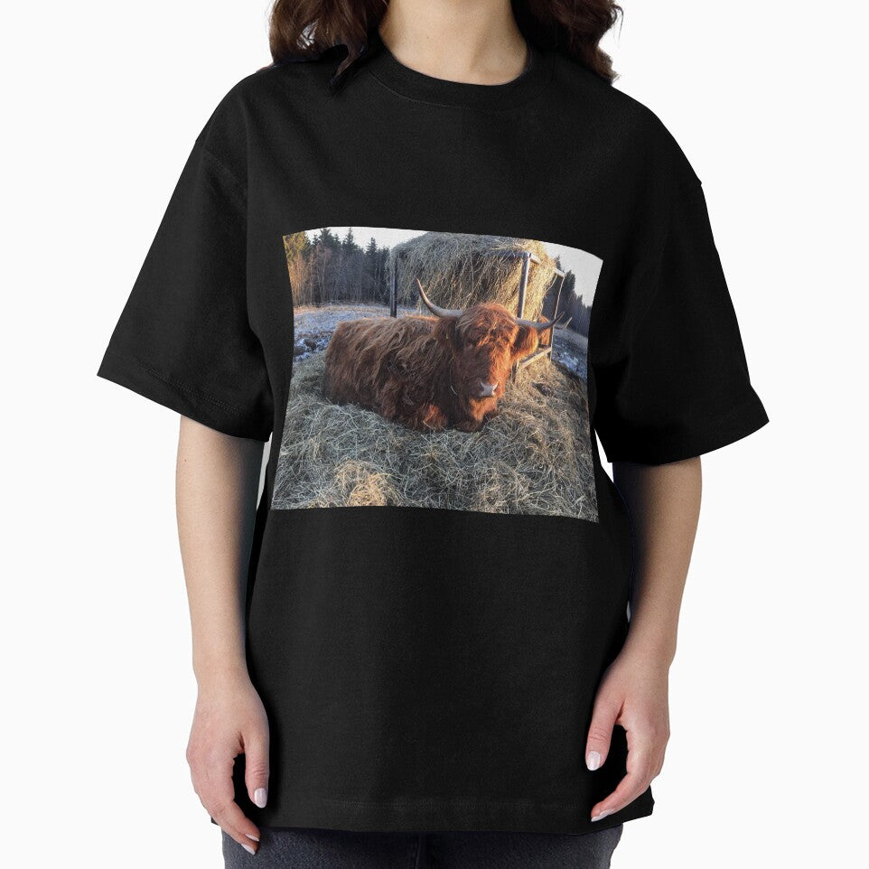 Scottish Highland Cattle Cow 1016 by SaarelaHighland