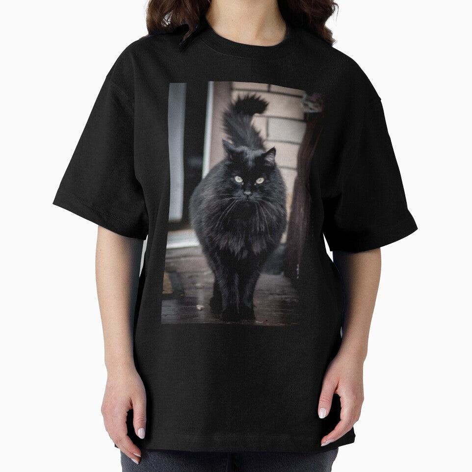stylish black fluffy cat by Sillygirl101