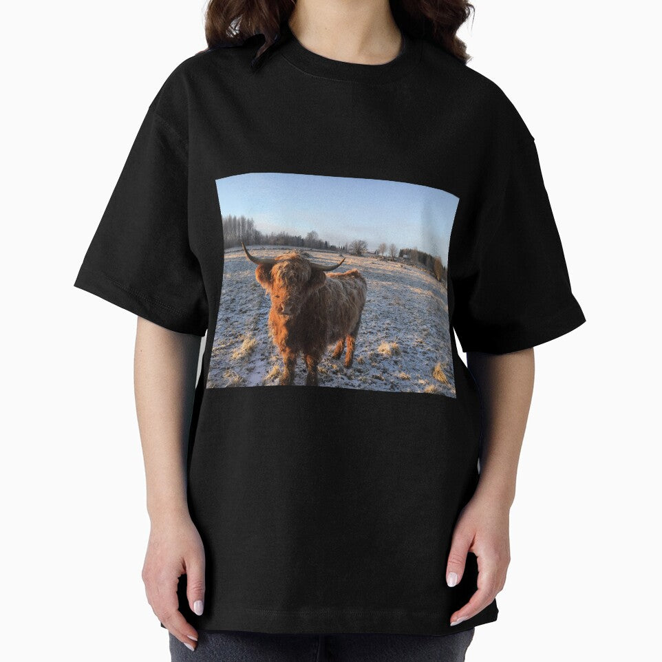 Scottish Highland Cattle Cow 1010 by SaarelaHighland