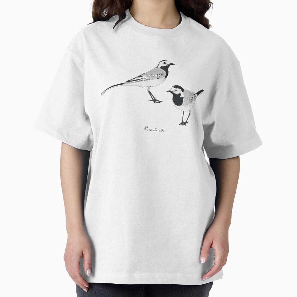 White Wagtail by Luzeilustración