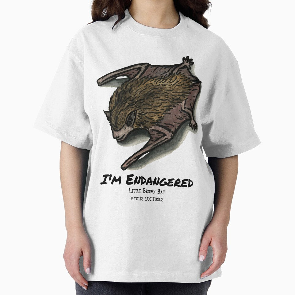 Little Brown Bat- I'm Endangered by Alexis Rodefer
