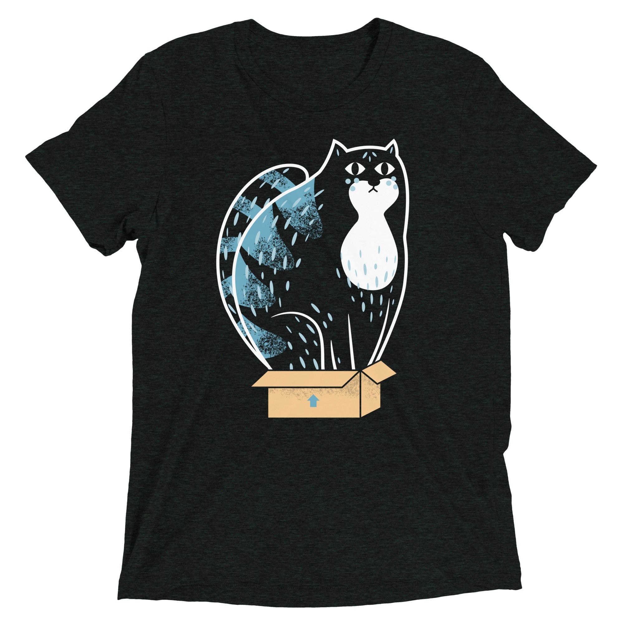 Cat In A Box Men's Tri-Blend Tee