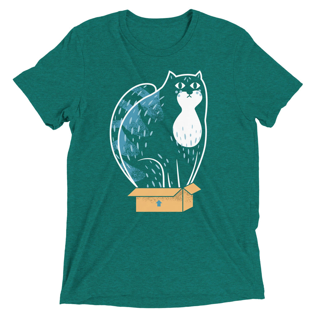 Cat In A Box Men's Tri-Blend Tee
