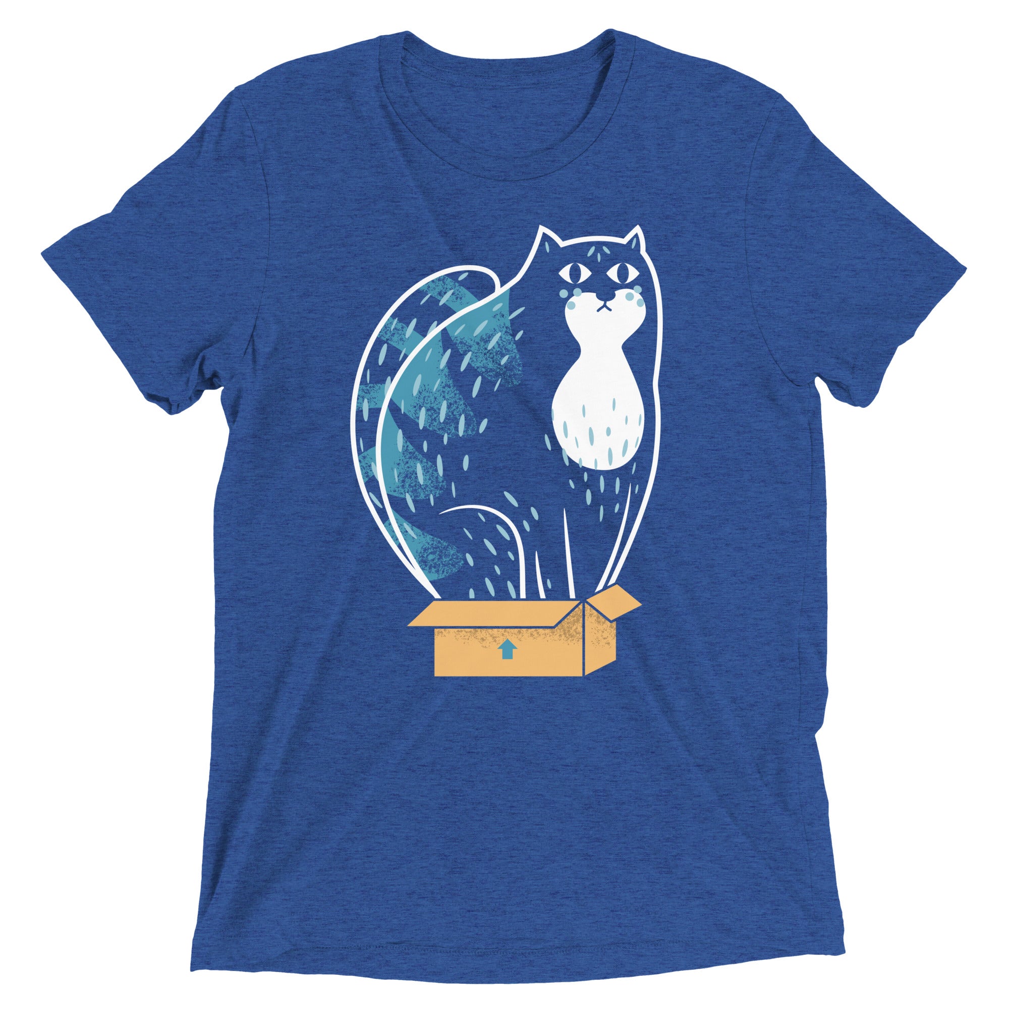 Cat In A Box Men's Tri-Blend Tee