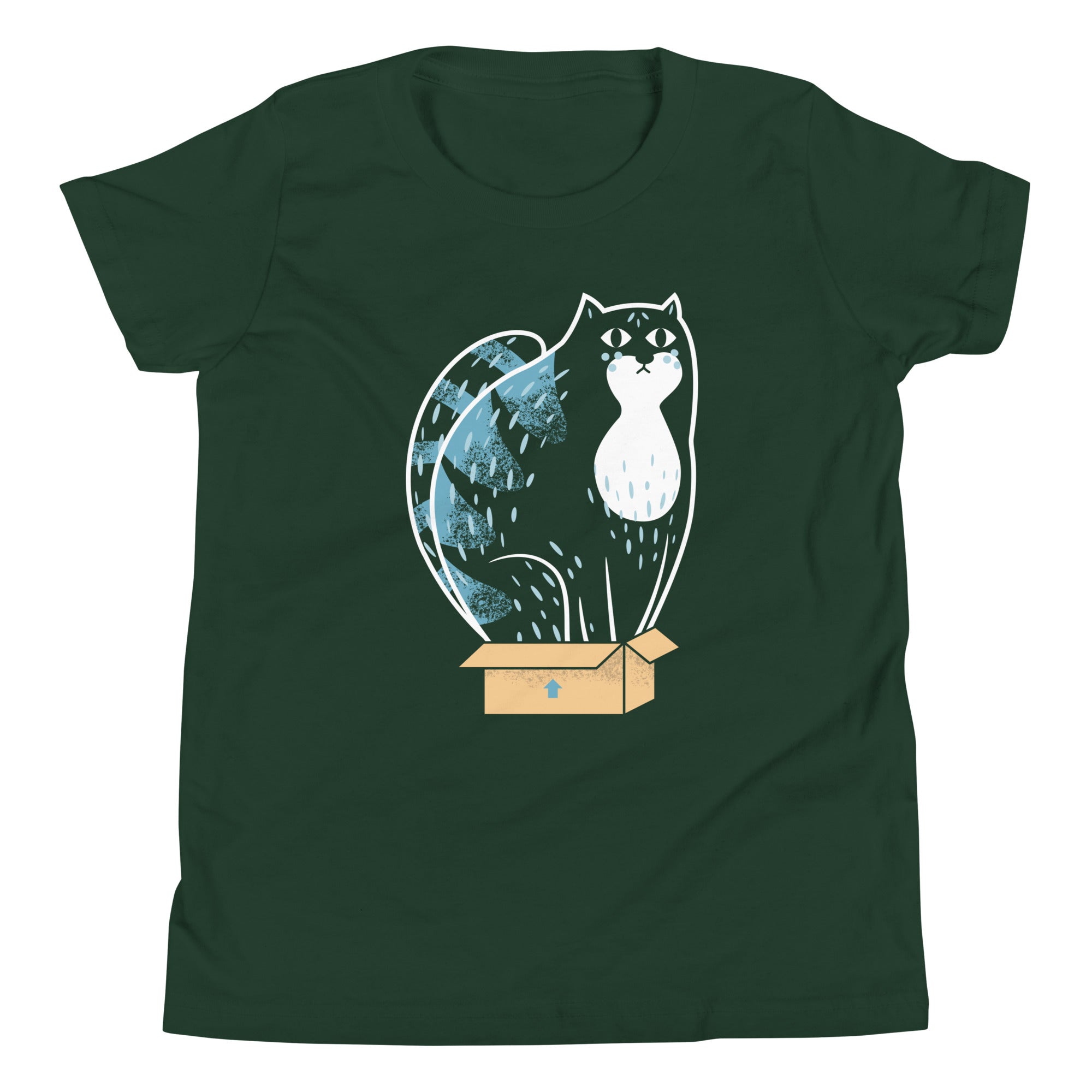 Cat In A Box Kid's Youth Tee